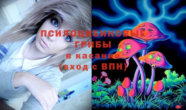 дурь Белоозёрский