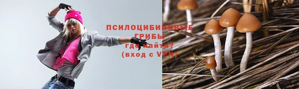 apvp Беломорск