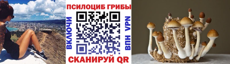 Псилоцибиновые грибы MAGIC MUSHROOMS  Калининец 